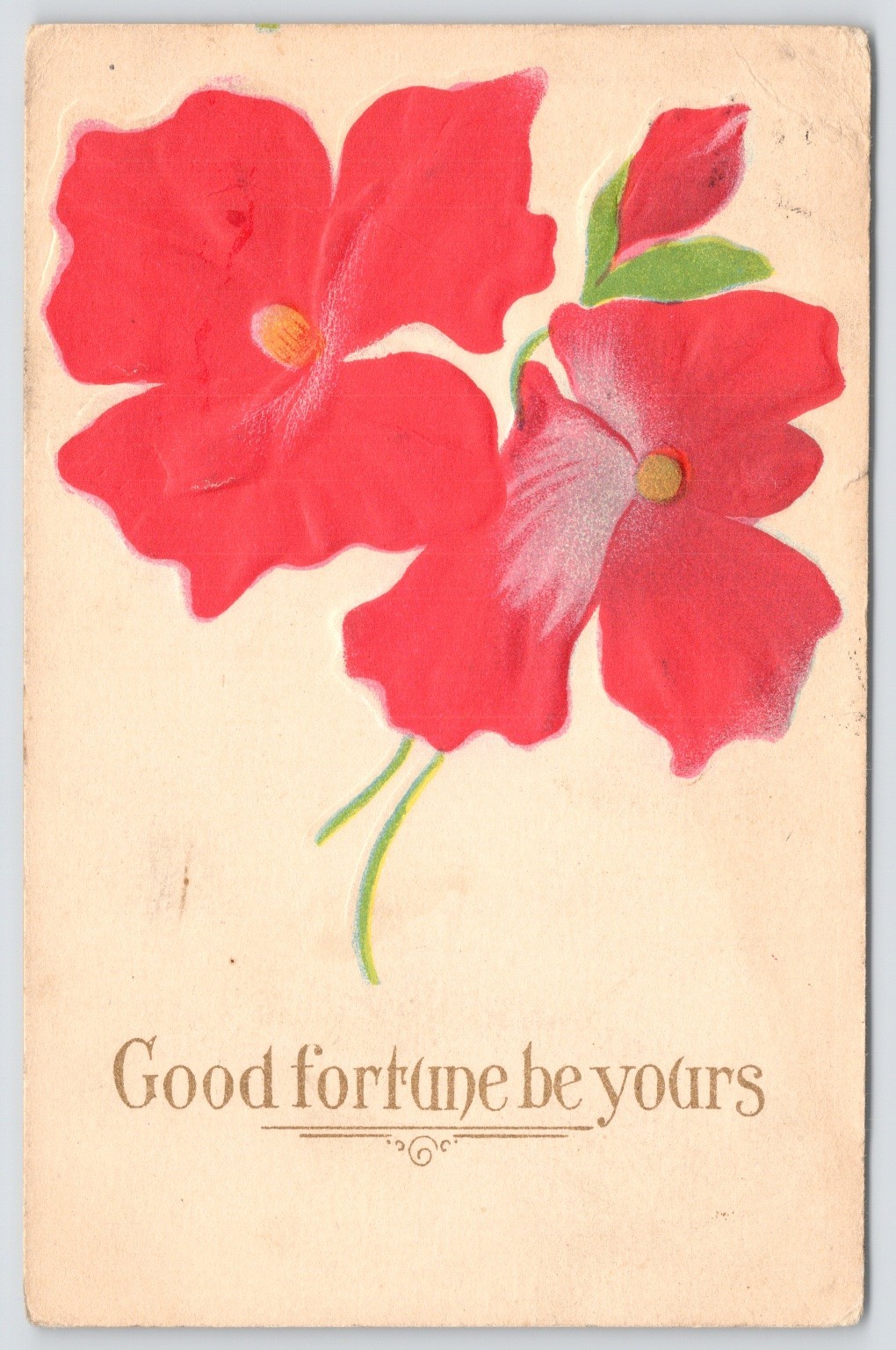 1909 Embossed Red Flowers Good Fortune Postcard Macedon NY Postmark Vintage