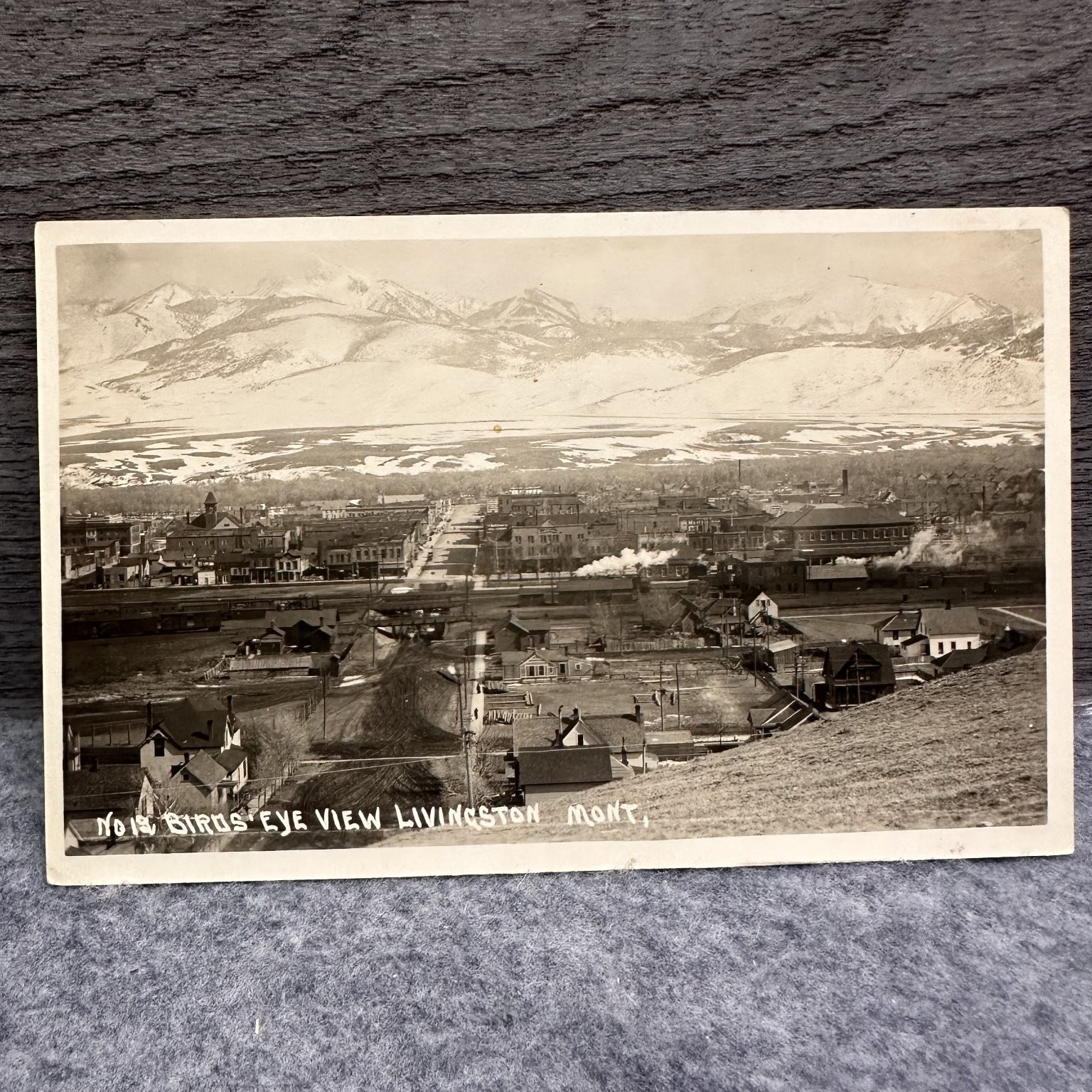 Livingston Montana Bird\'s Eye View RPPC Snow Capped Mountains Train 1900s