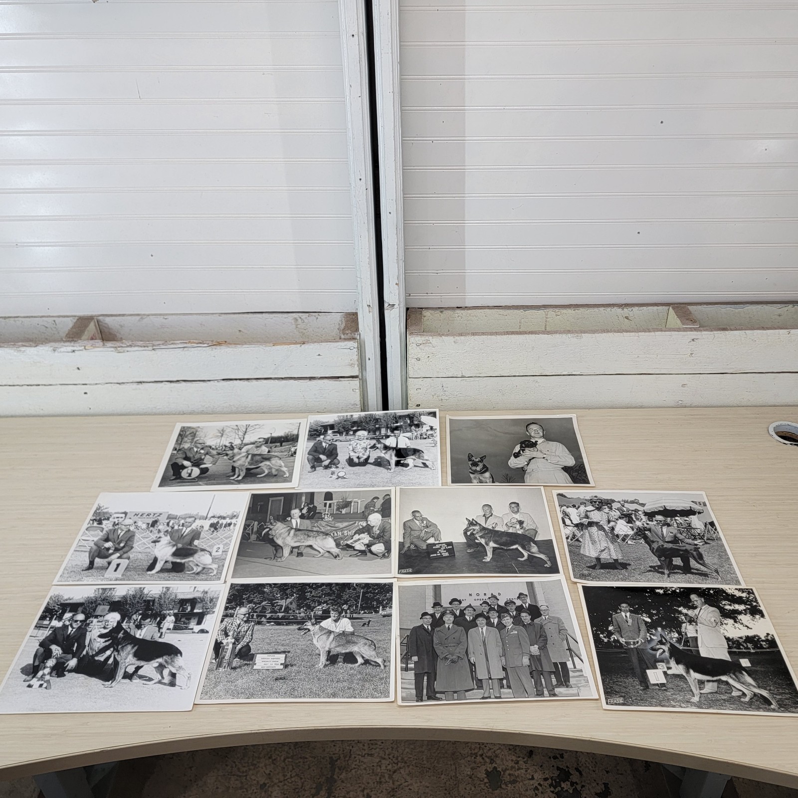 Vintage 1950s 60s German Shepherd Dog Show Photo Lot NORAD Cold War