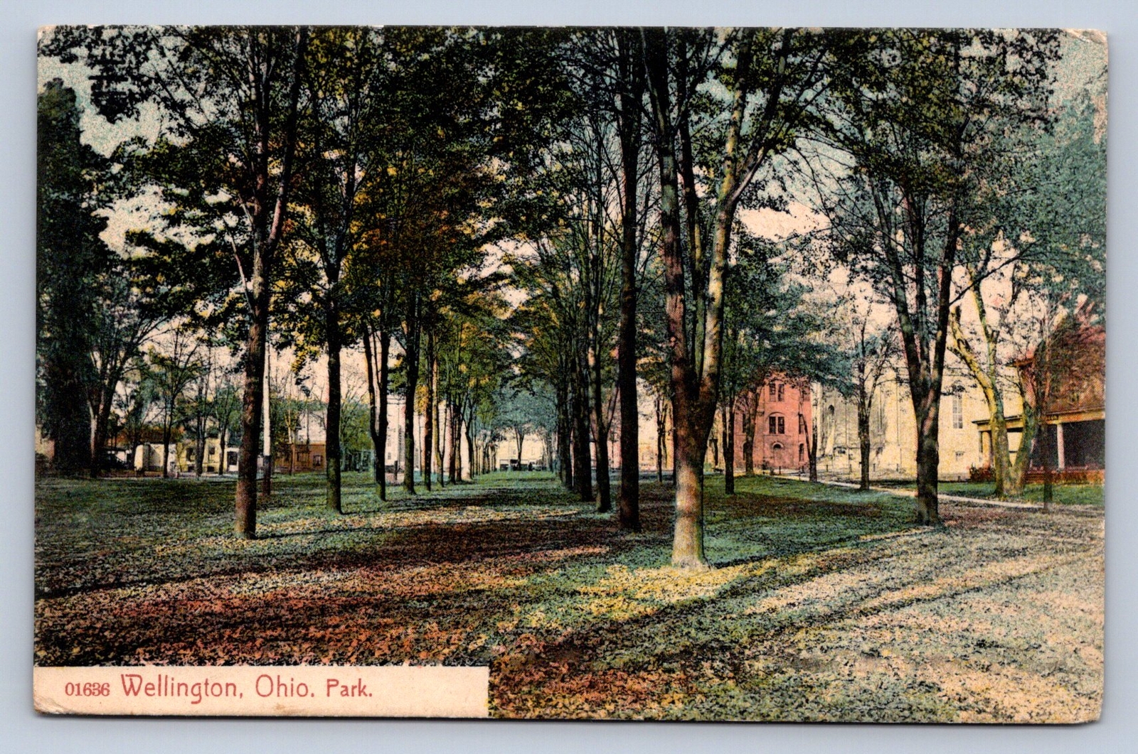 J88/ Wellington Ohio Postcard c1910 Park Scene Buildings 71