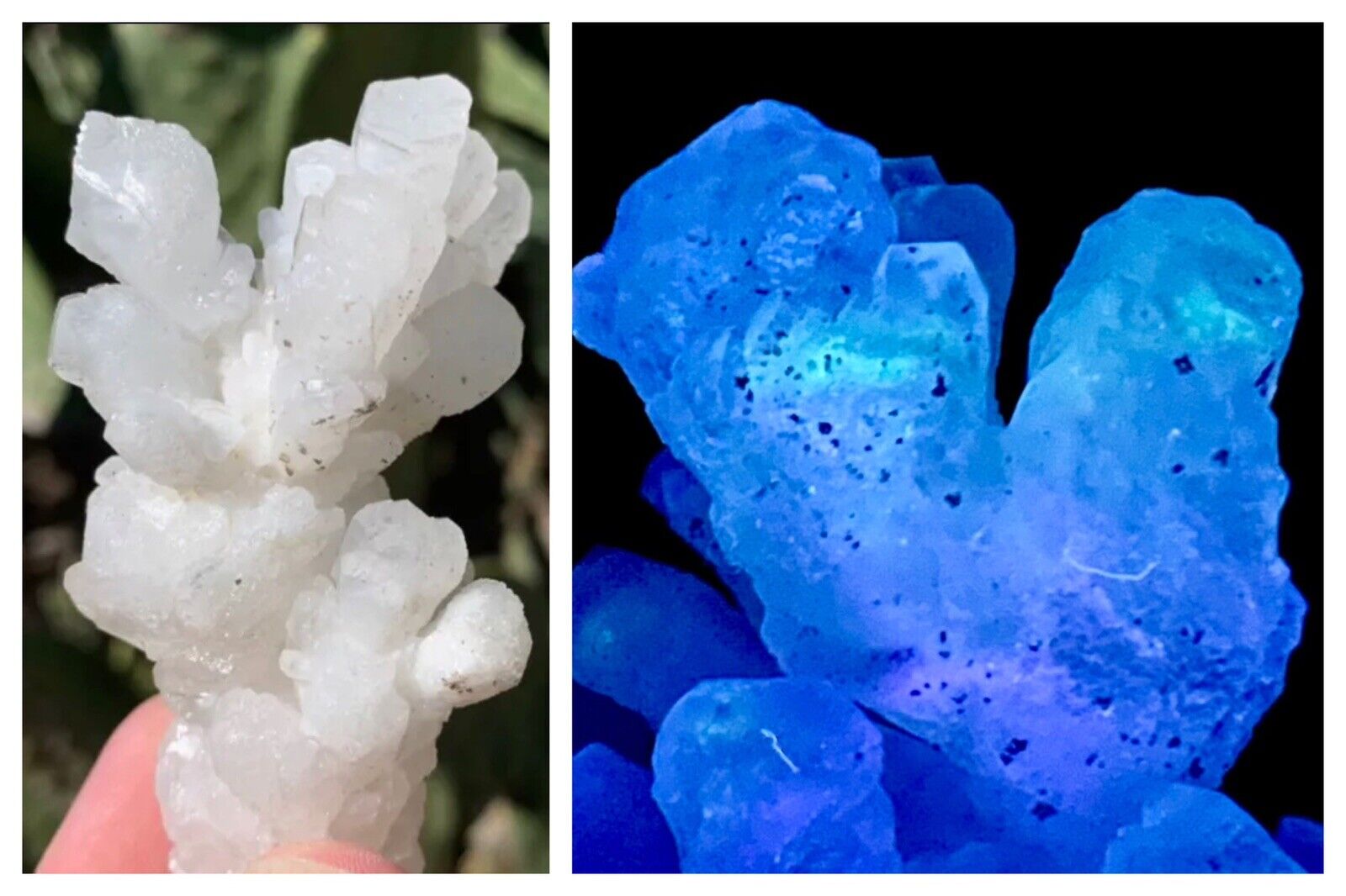Stalactite Calcite Stalagmite Aragonite Cave Crystal Cluster Mineral Specimen UV