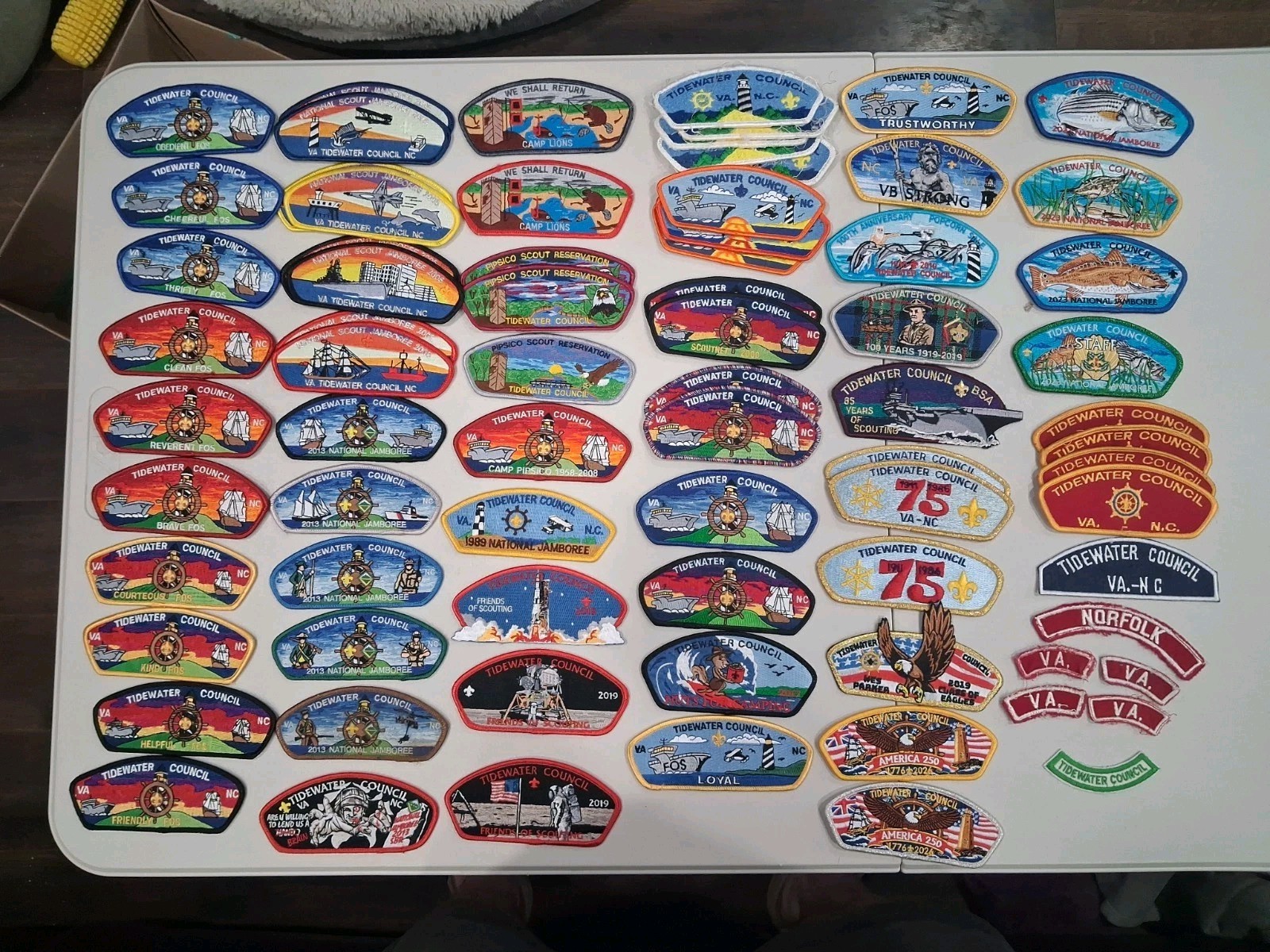 Blue Heron Lodge 349 OA Boy Scout  Tidewater Council VA 700+patches More