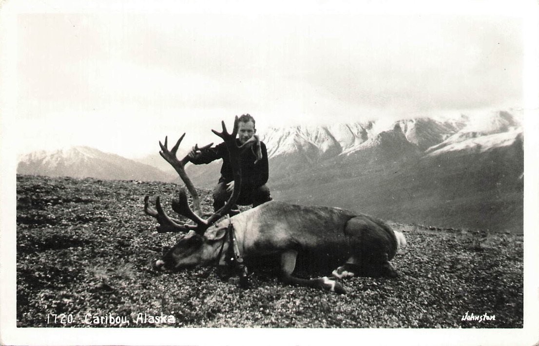 Vintage RPPC Caribou Hunting Alaska Johnston Photo Postcard Mountains