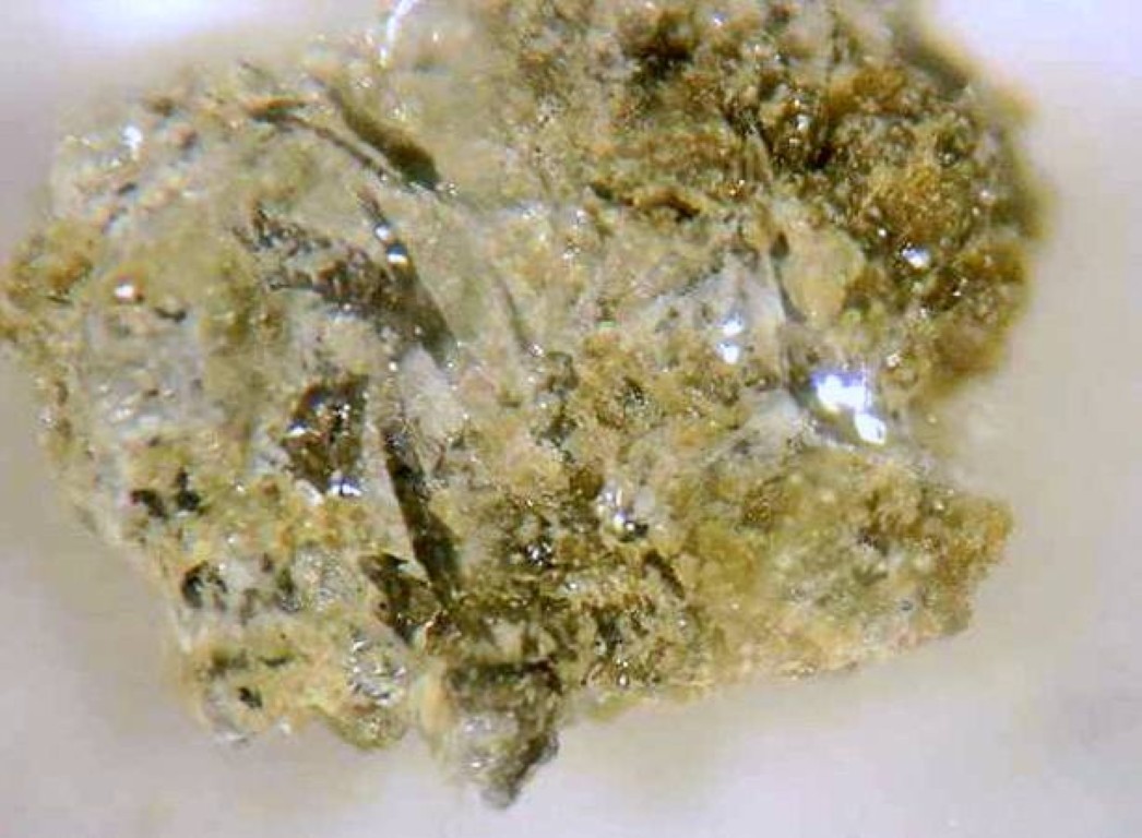 SHERGOTTY - 10mg Martian Meteorite -Witnessed Fall Aug 25, 1865- Shergotty INDIA