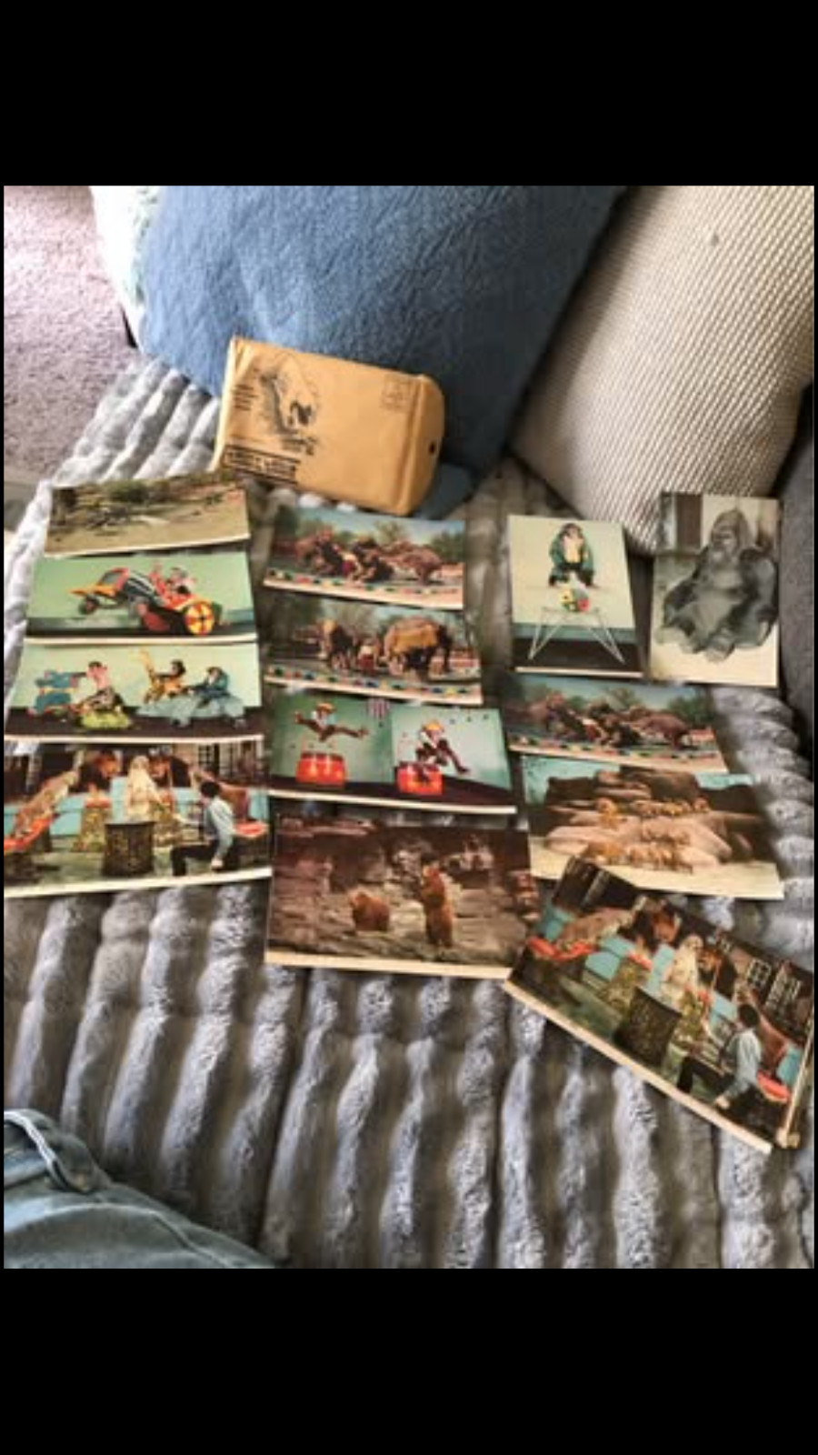 NEW Vintage 1940s/50s St. Louis Zoo Postcard Set - Complete 22 Pack with Origina
