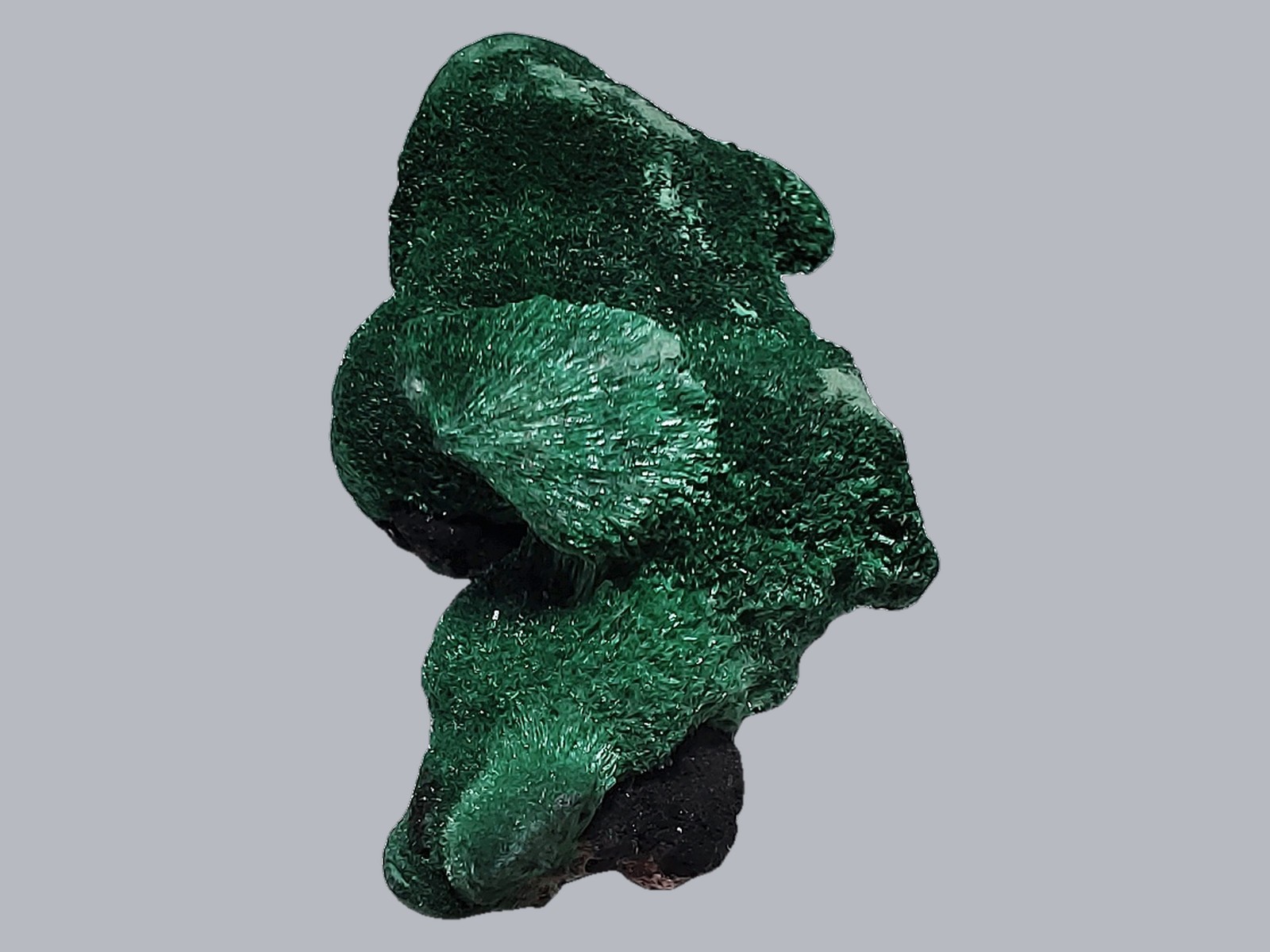 Malachite Ps. Azurite--Milpillas Mine, near Nacozari, Sonora, Mexico