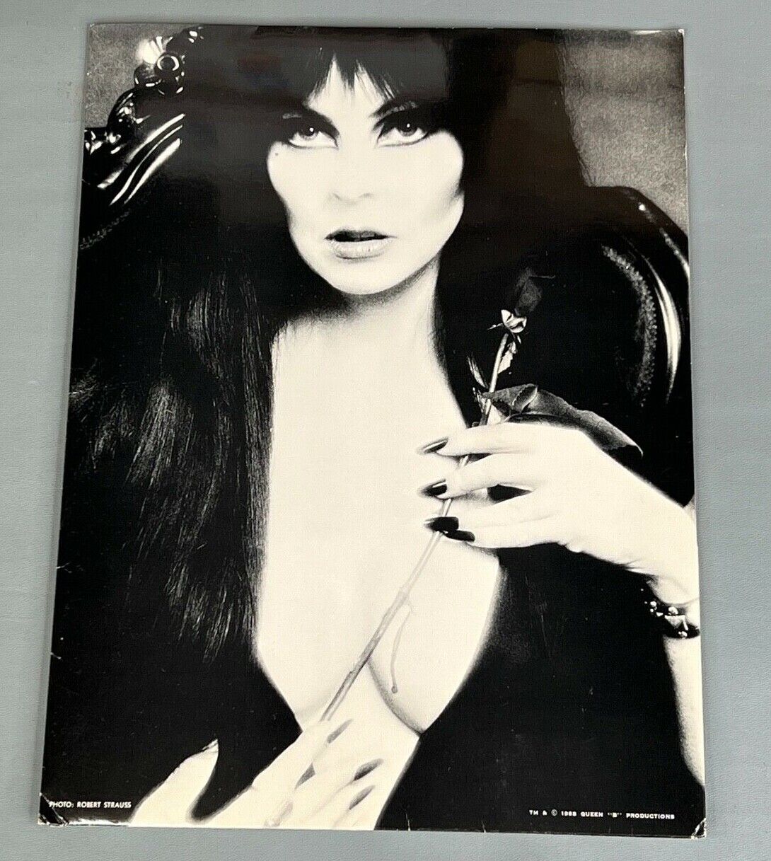 Elvira Fan Club Folder (1988) Mistress of the Dark Vintage Art Paper Holder