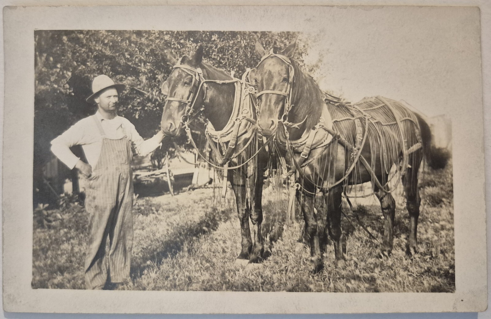 Vintage Postcard RPPC Man In Overalls With Two Horses 1908 AA84