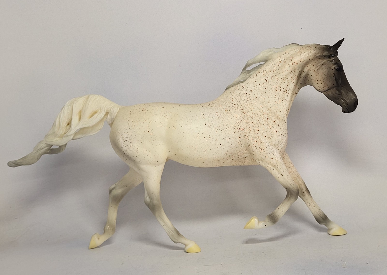 Breyer cm Shagya Arabian