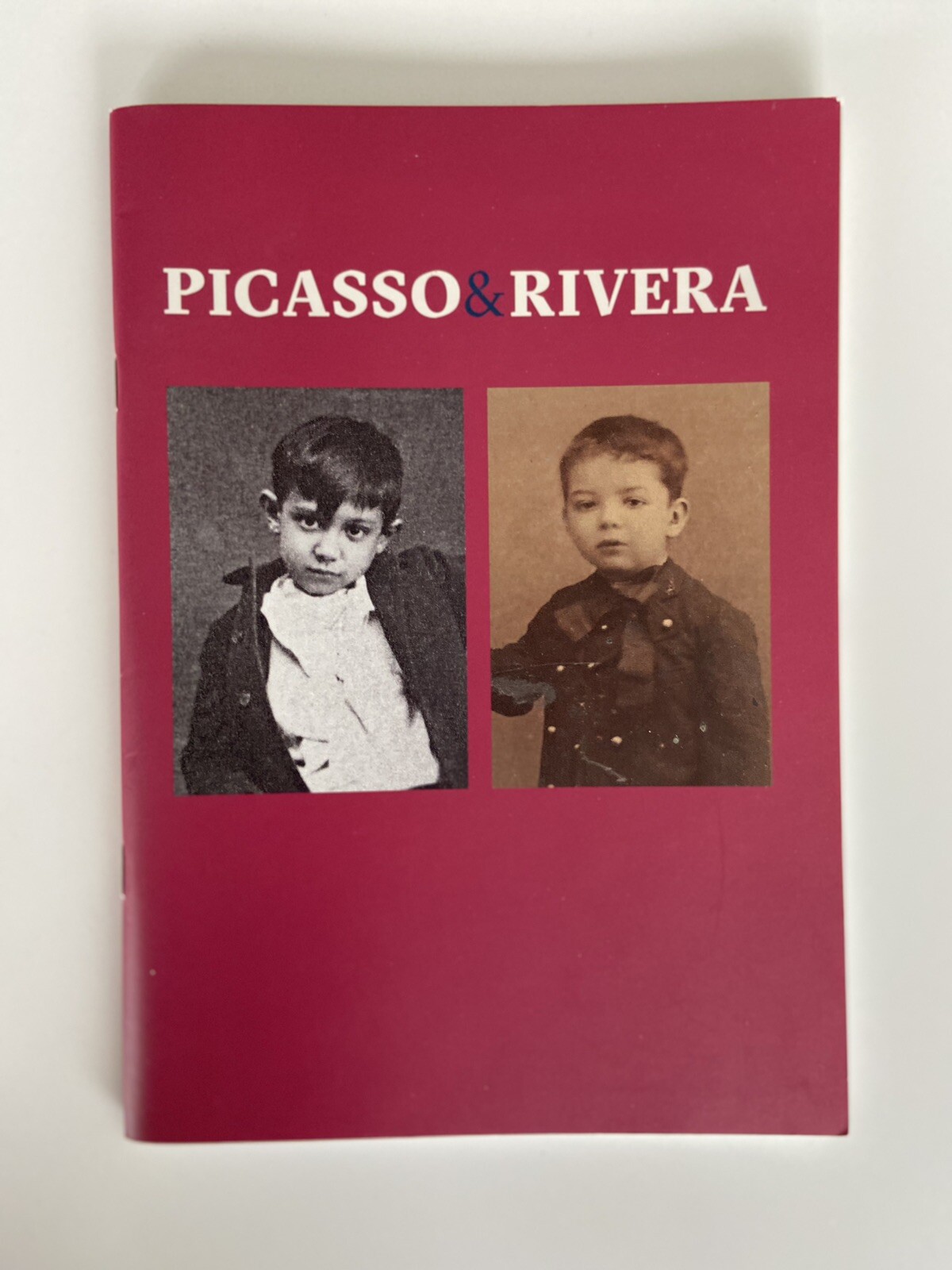 Diego Rivera & Pablo Picasso 2017 Mexico Exhibition Program 