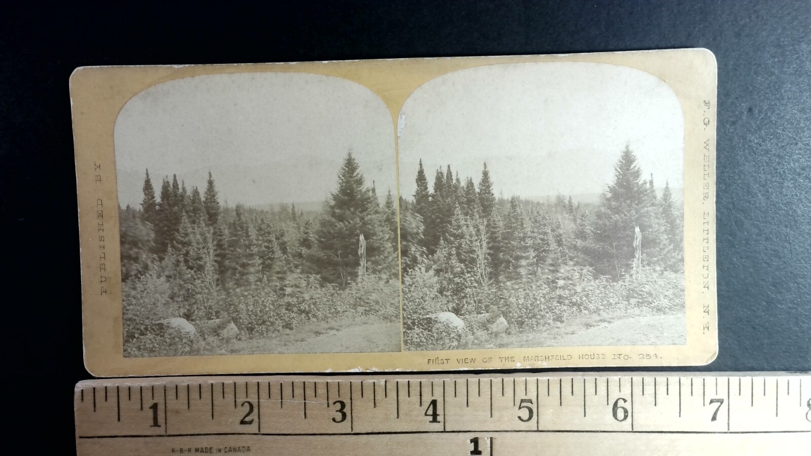 Marshfield House Mt Washington NH Stereoview Millet & Farrar 1870s Forest Marshfield House Mt Washington NH Stereoview Millet & Farrar 1870s Forest