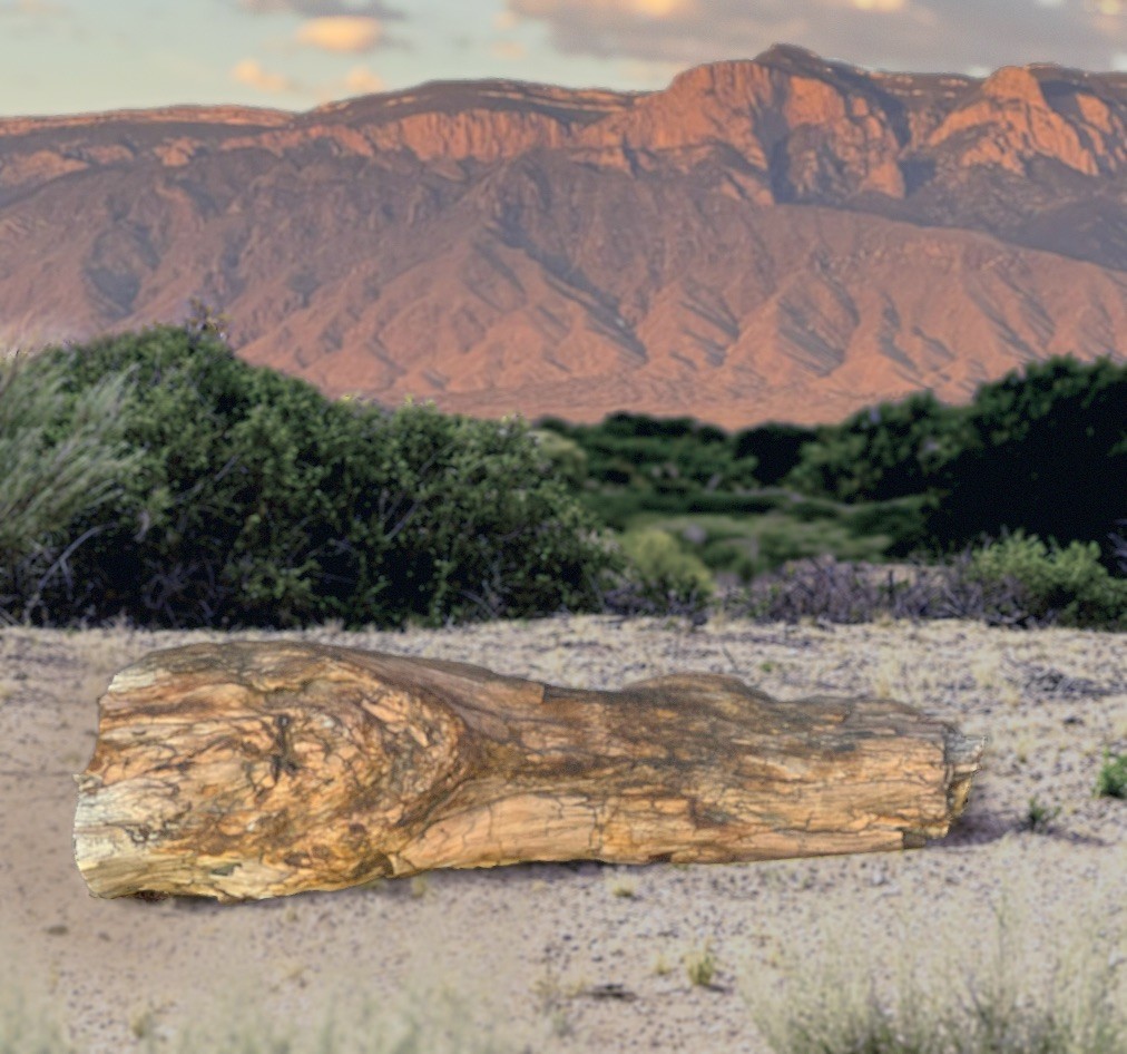 25% Price Price Drop. Beautiful 110 lb Log of Rough Rainbow Petrified Wood