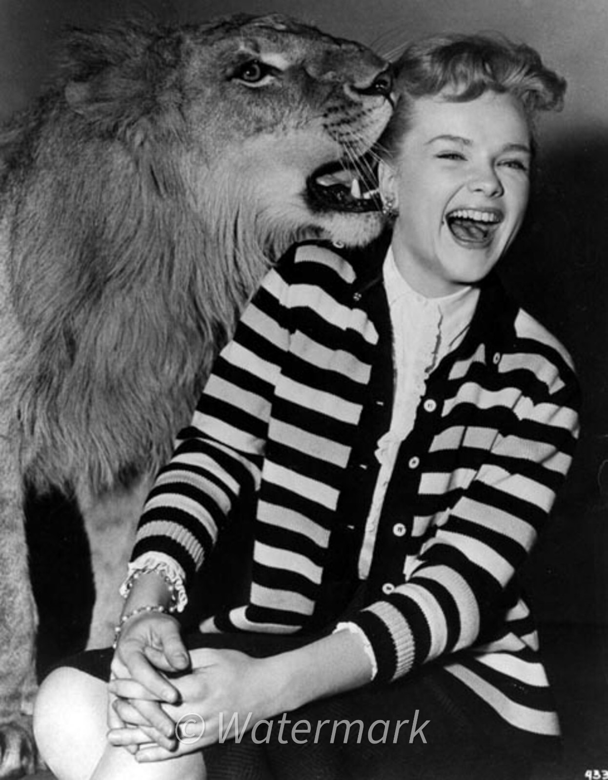 Anne Francis 💙1950s Vintage Actres Hollywood - 8x10 Publicity Photo - Actress