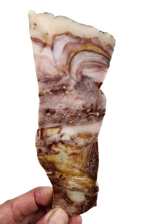 Windy Mountain Jasper Slab 88.4 grams. Windy Mountain Jasper Slab 88.4 grams.