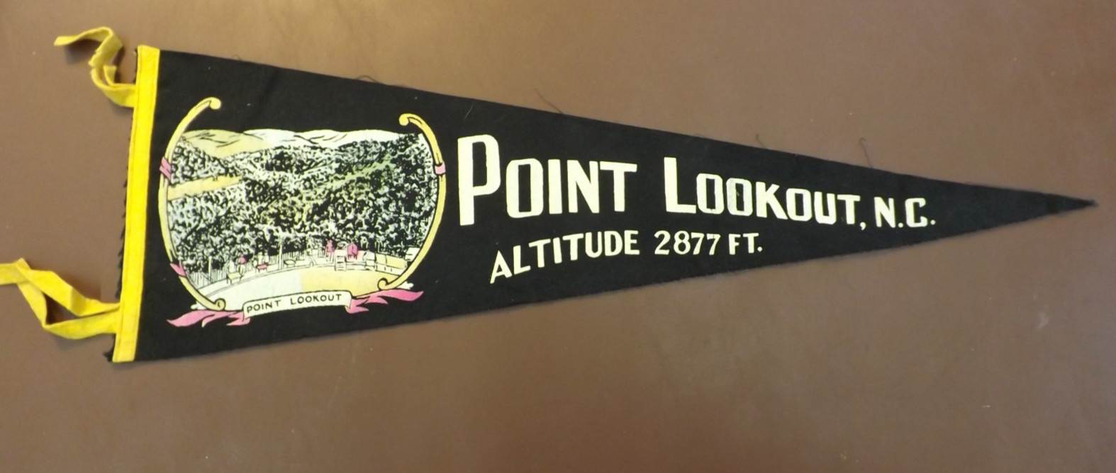 VINTAGE 1950s POINT LOOKOUT NORTH CAROLINA PENNANT banner 26