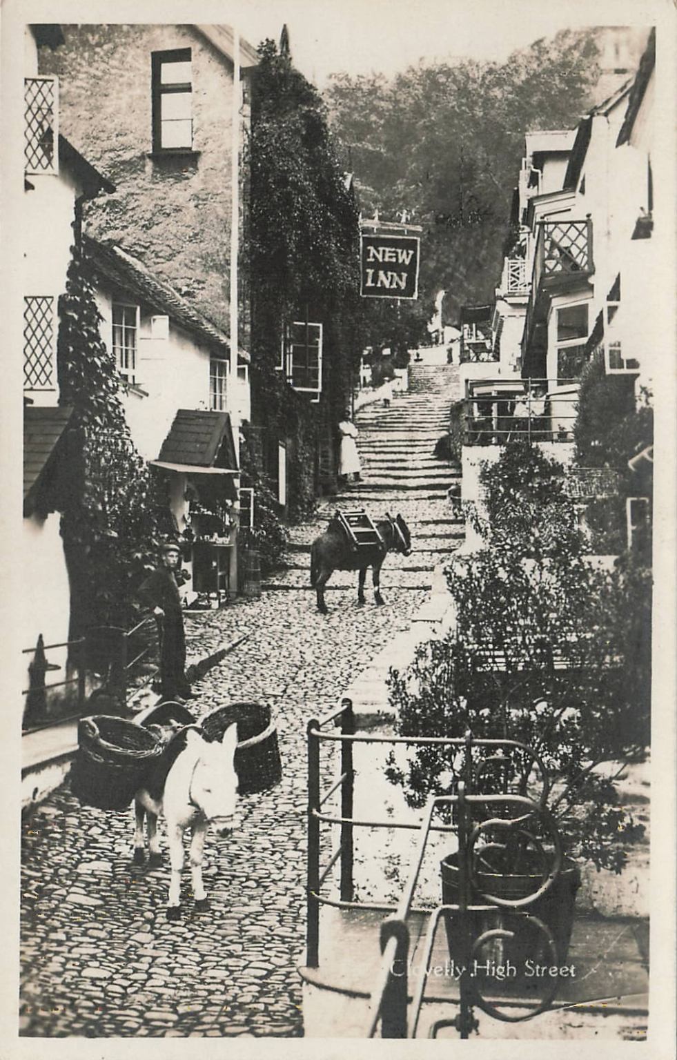Clovelly High Street Donkeys RPPC G. S. Reilly New Inn Devon England Postcard