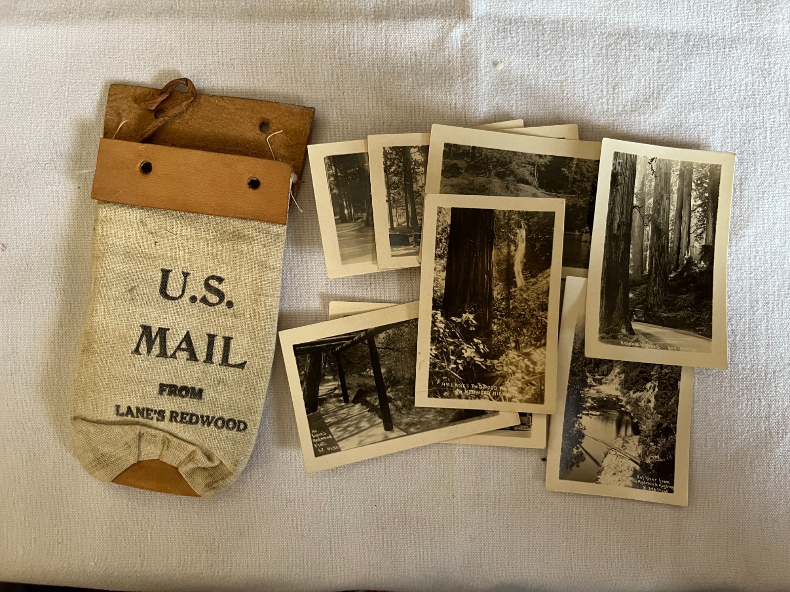 California Lane\'s Redwood Souvenir