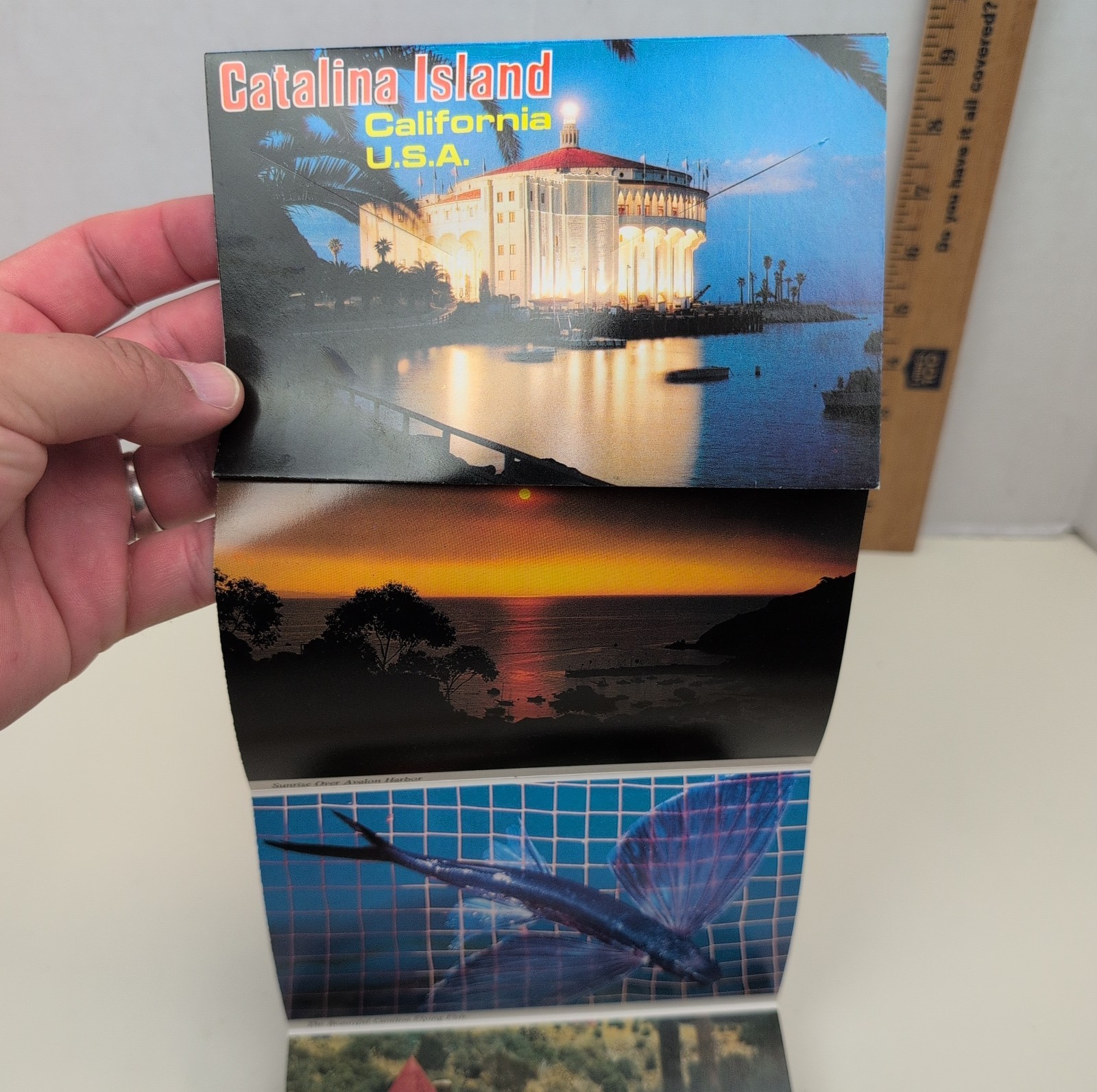 Vintage Catalina Island California Avalon 12 View Foldout Souvenir Postcard Book