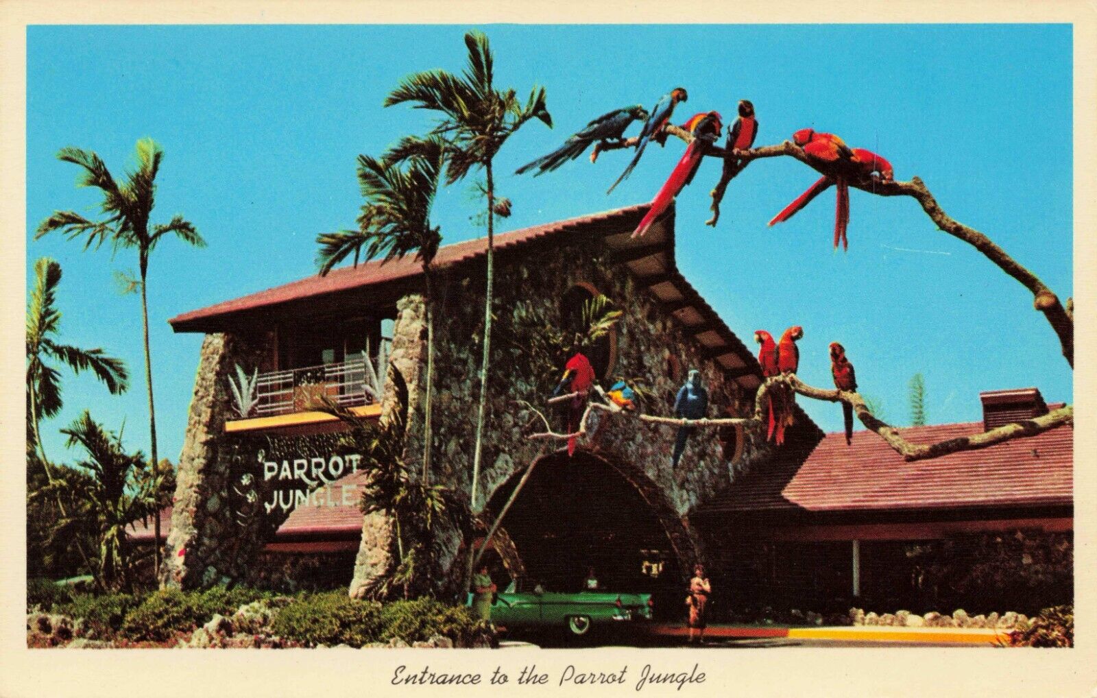 Postcard Entrance to the Parrot Jungle, Miami Florida Chrome Vintage
