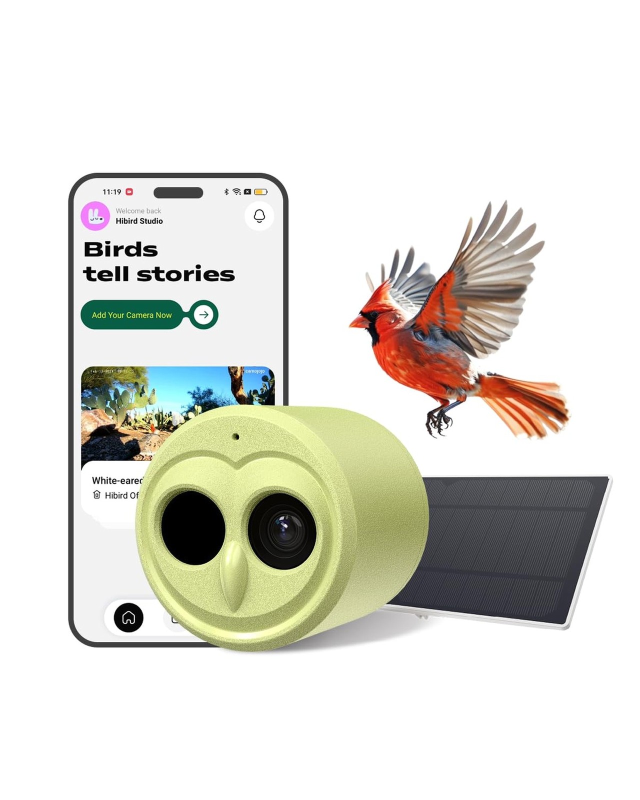 Hibird 4K HD Smart Bird Feeder Camera Solar Powered, 2.4G/5G Dual WiFi Wirele... Hibird 4K HD Smart Bird Feeder Camera Solar Powered, 2.4G/5G Dual WiFi Wirele...