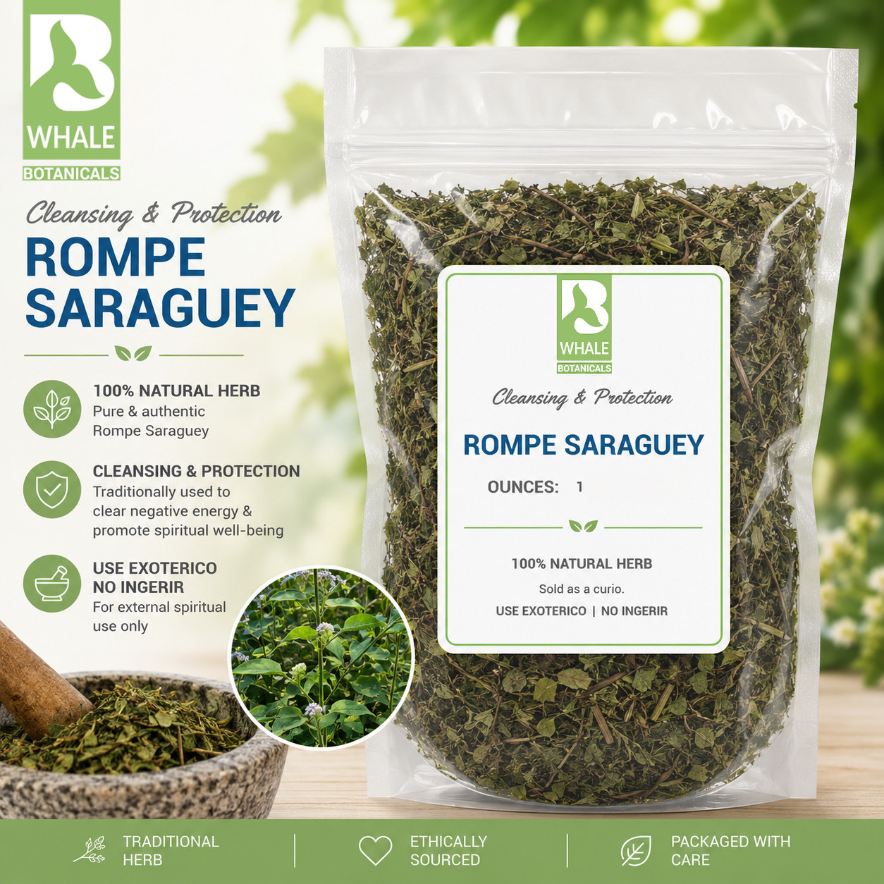 Rompe Saraguey Herb for Protection Cleansing, Ritual Bath, Mojo Bag, Candle Work