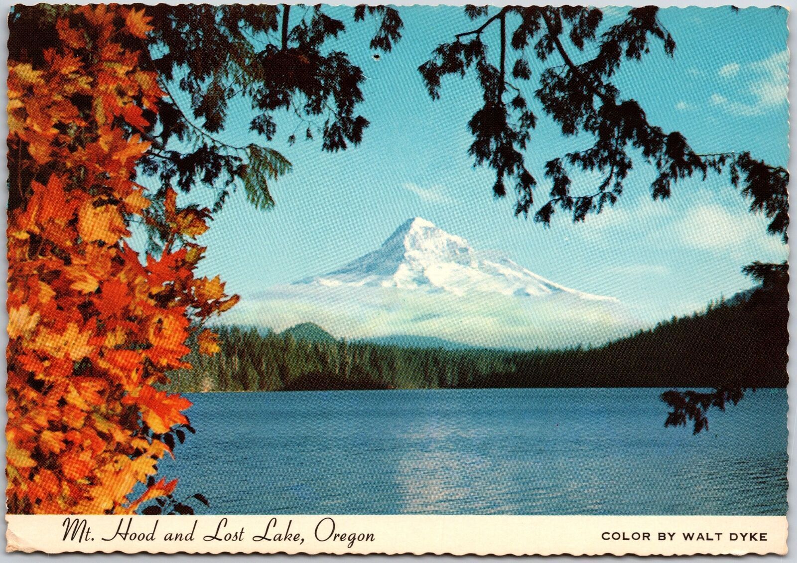 Mount Hood And Lost Lake Oregon OR Overlooking Mountains Postcard