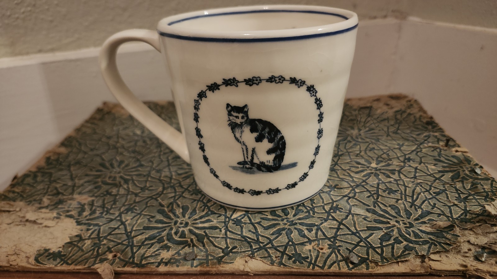 Oversized MOLLY HATCH CAT MUG Anthropologie?