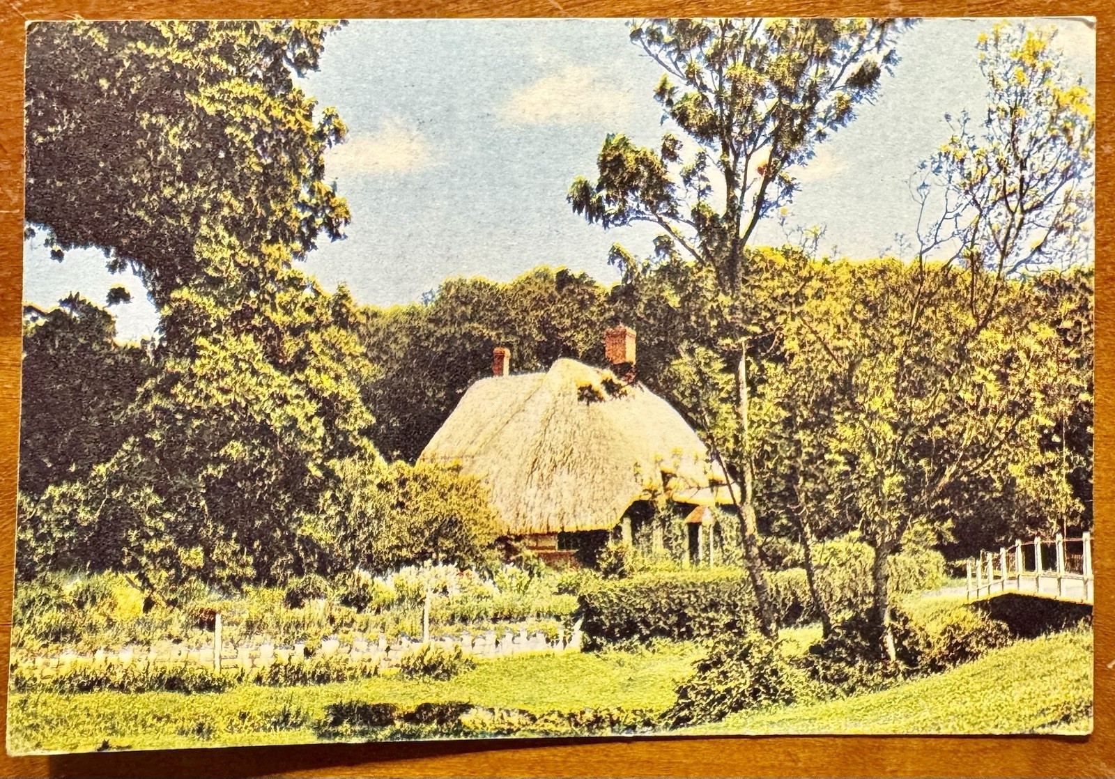 Vintage Postcard English Thatched Cottage New Forest, Hampshire