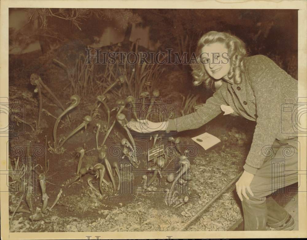 1940 Press Photo Ver Lundgren feeds a carnivorous cobra plant at Brooklyn Garden
