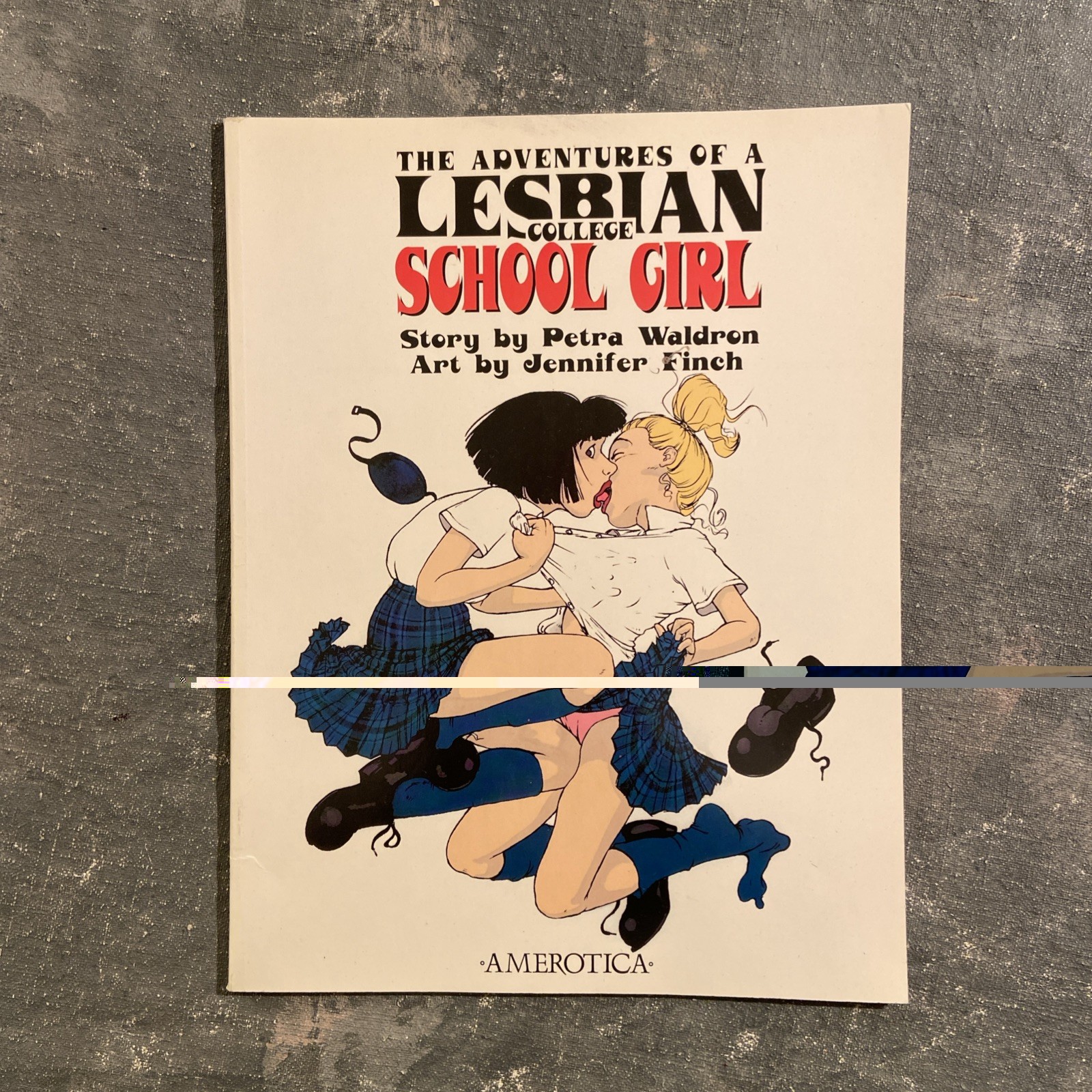 Adventures of a Lesbian College School Girl GN Jennifer Finch Petra Waldron HTF Adventures of a Lesbian College School Girl GN Jennifer Finch Petra Waldron HTF