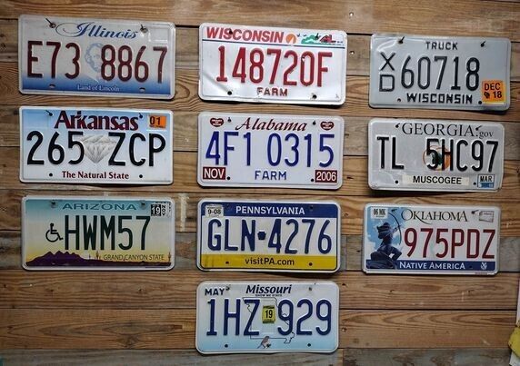 Variety of 10 expired 2013 Mixed State craft condition License Plate  E73 8867