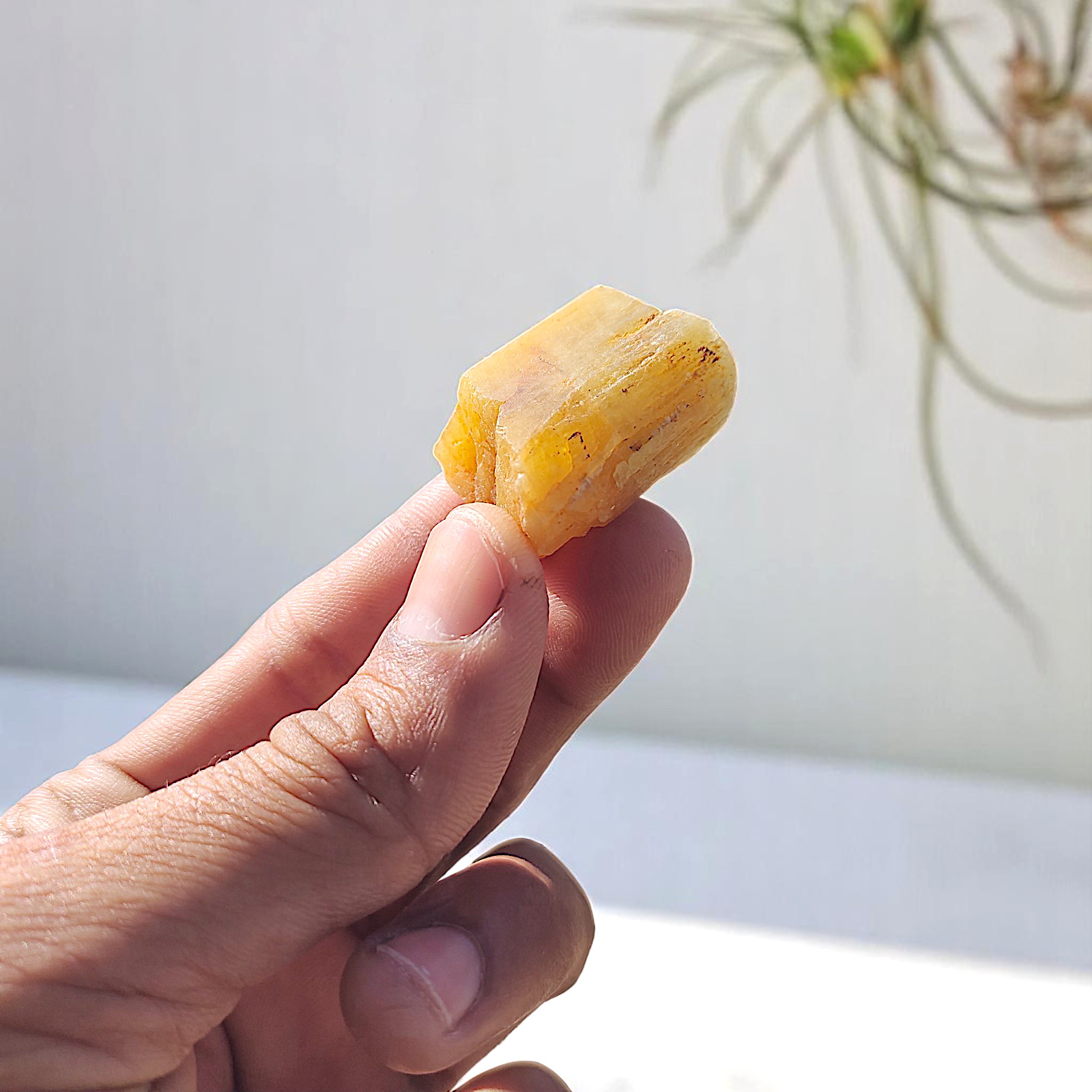 125 Ct Natural Raw Heliodor Crystal Beryl | Yellow Rough Gemstone Specimen India