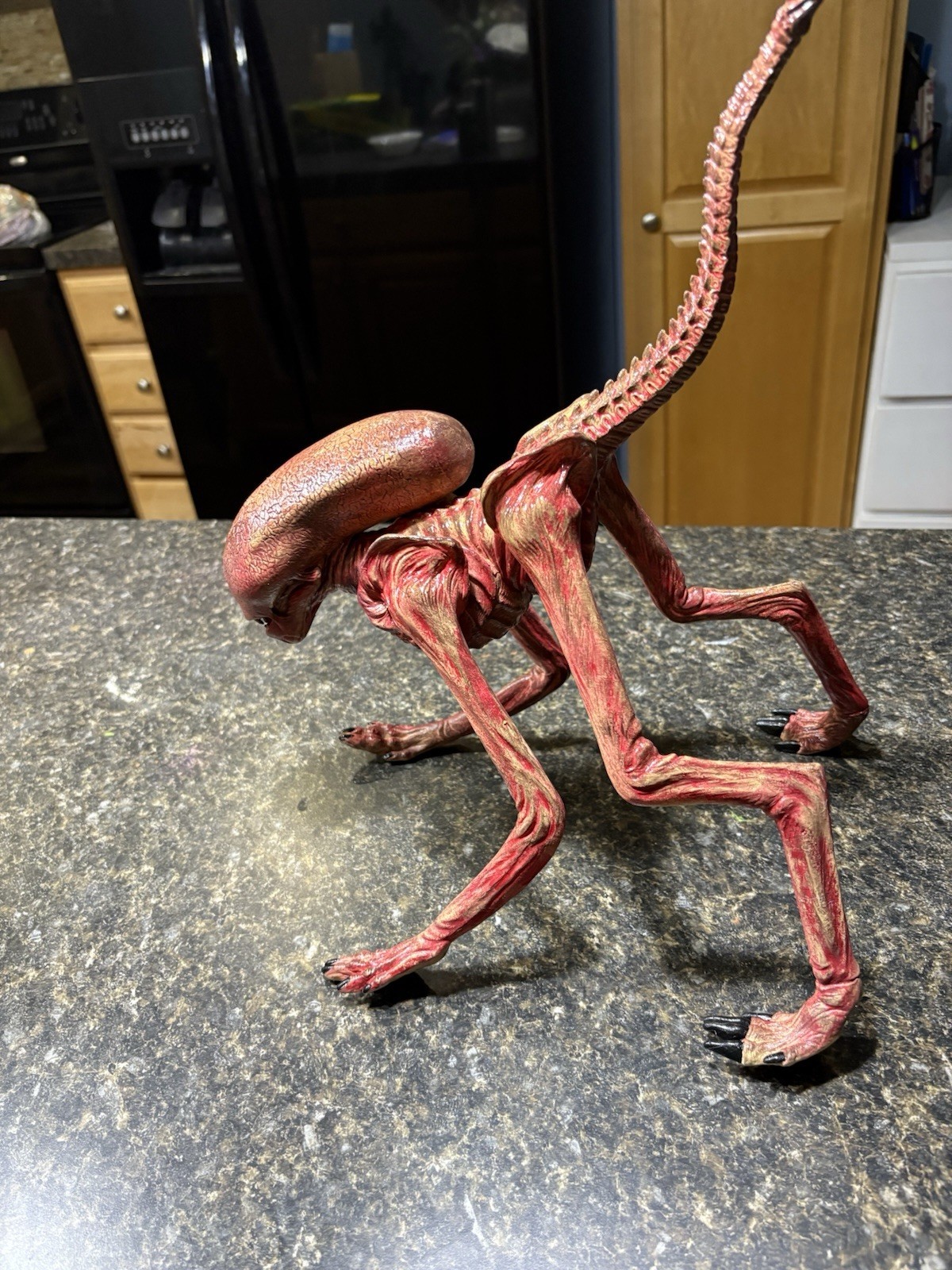 Halcyon alien three dog buster one to one scale