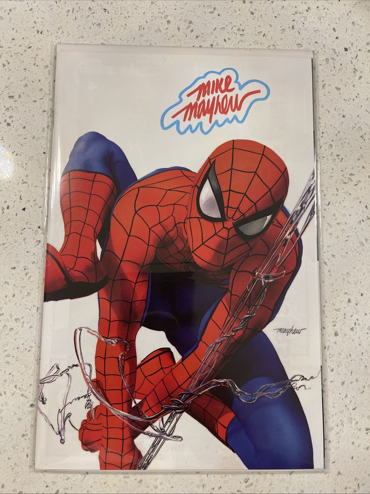 The Amazing Spider-Man #1  Cover Art Signed Mike Mayhew w/COA Remark / NM