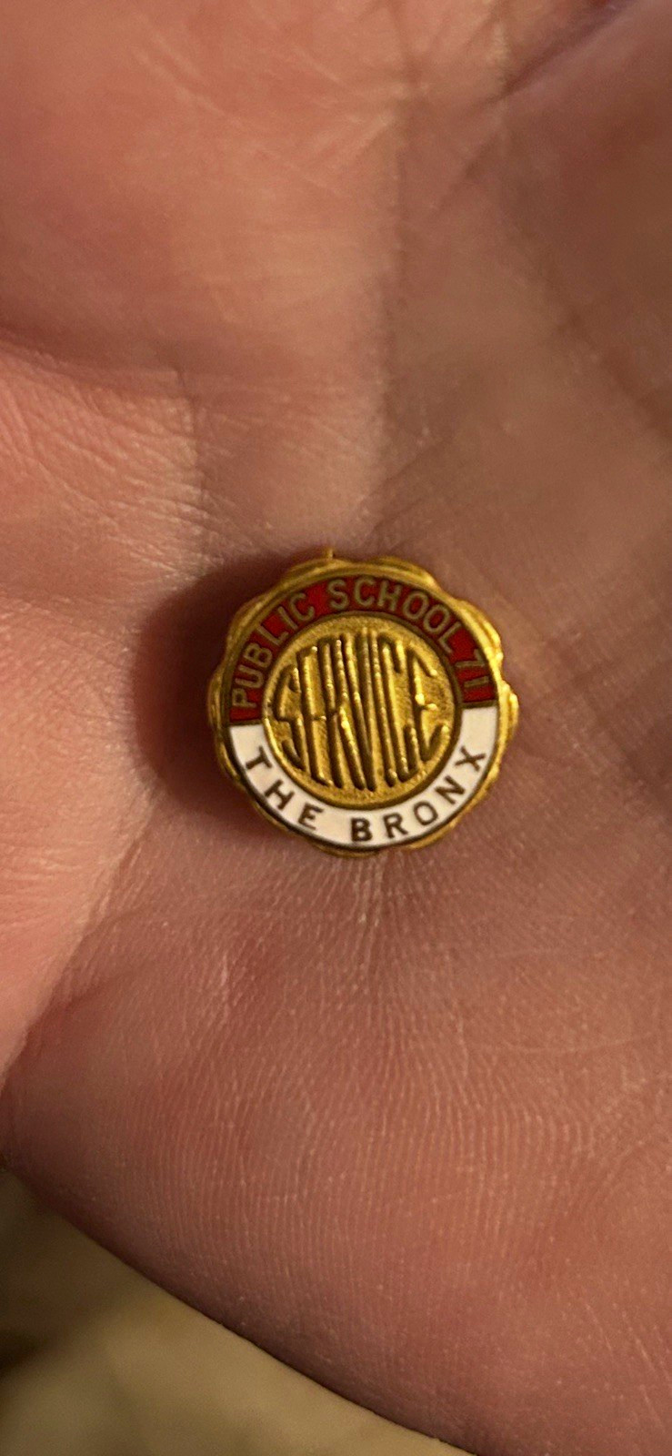 Vintage PS 71 The Bronx NYC Public School Service Lapel Pin Reed & Co NY Enamel