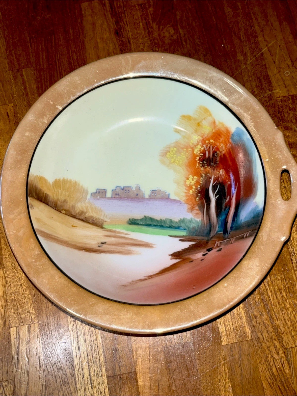 Vintage Hand Painted Chikaramachi Single Handled Bowl Nippon