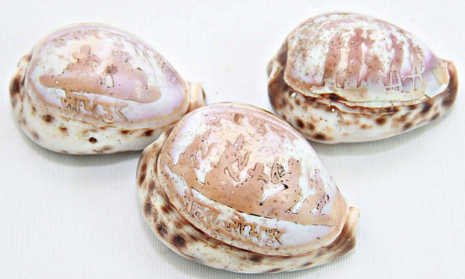 Vintage Hand Carved Cowrie Shell Set: Religious Engravings, Artisan Decor