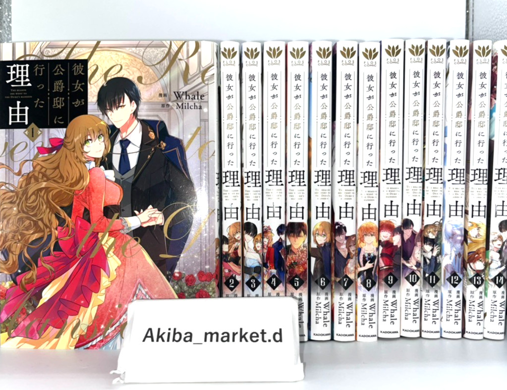 Why Raeliana Ended Up at the Duke\'s Mansion 1-14 Complete Full Set Manga Comics