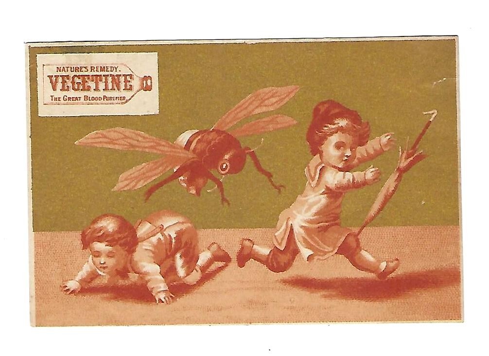 c1890\'s Victorian Trade Card Vegetine Blood Purifier, Large Bee Chasing Children
