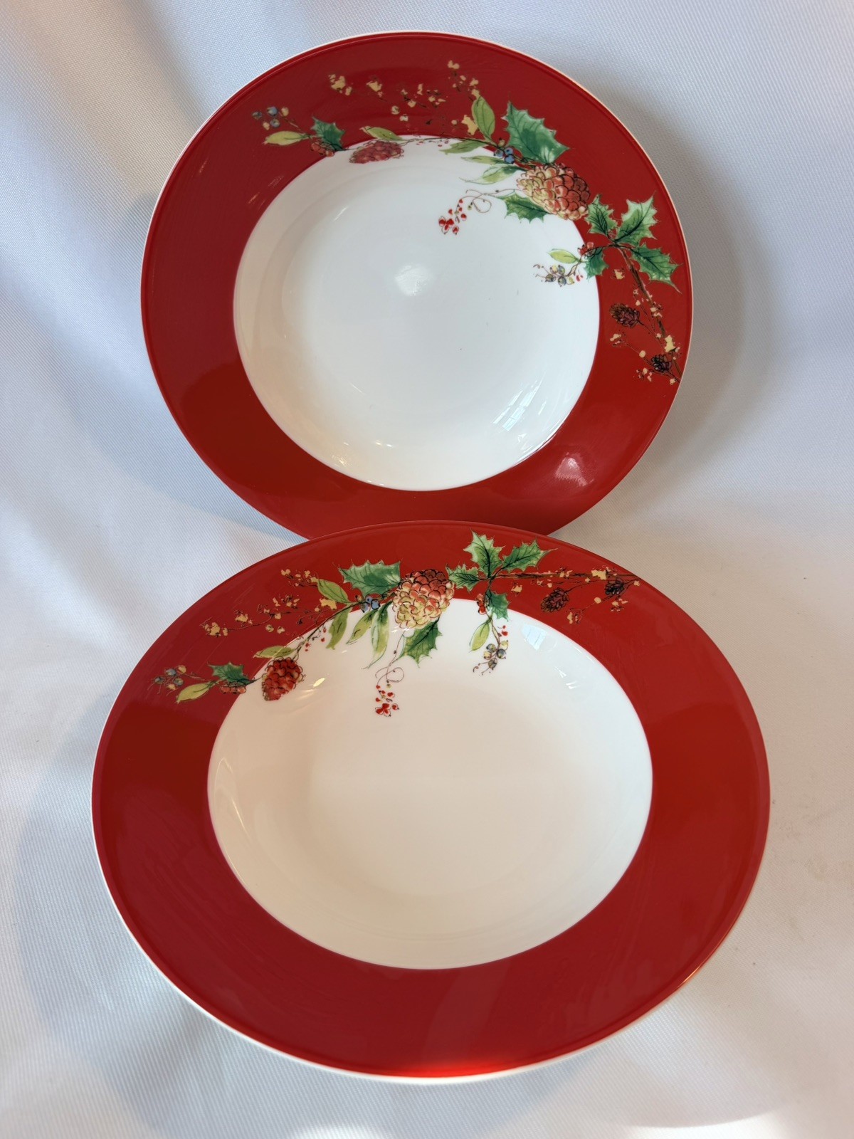 Set Of 2 Lenox Winter Song Red Rimmed Soup Pasta Bowls 818908 9.5” Diameter NEW Set Of 2 Lenox Winter Song Red Rimmed Soup Pasta Bowls 818908 9.5” Diameter NEW