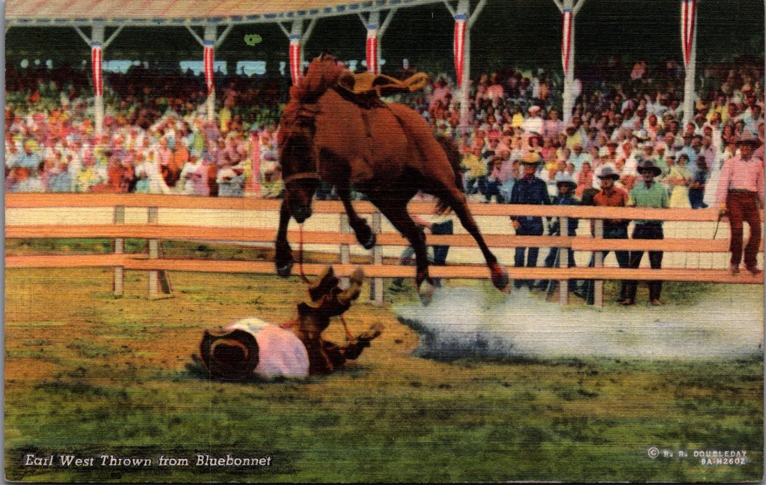Rodeo Cowboy Earl West Thrown from Bluebonnet Horse Vintage Postcard