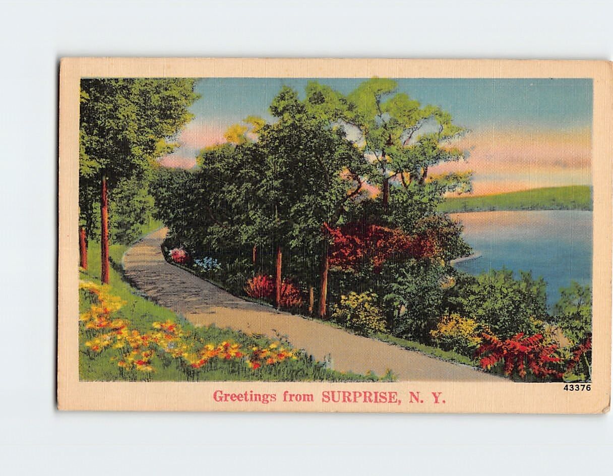 Postcard Road Nature Scene Greetings from Surprise New York USA