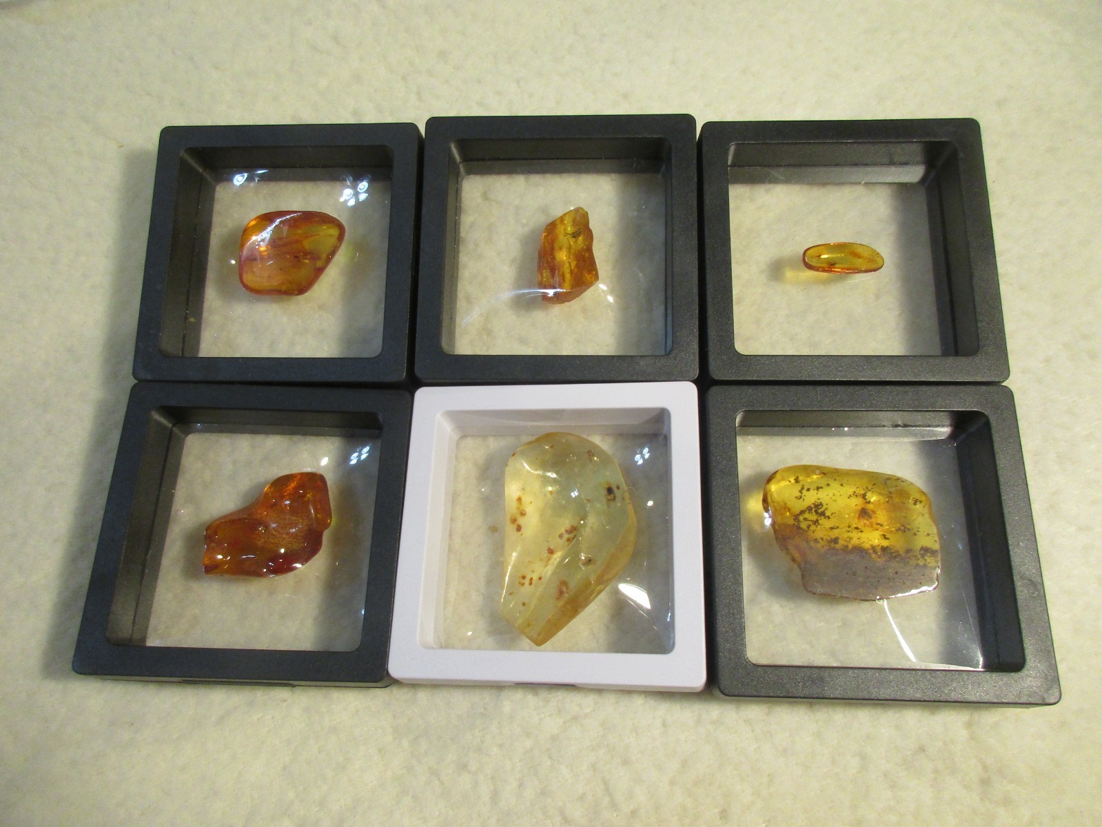 SIX BALTIC AMBER SPECIMENS WITH INSECT INCLUSIONS LOT SIX BALTIC AMBER SPECIMENS WITH INSECT INCLUSIONS LOT