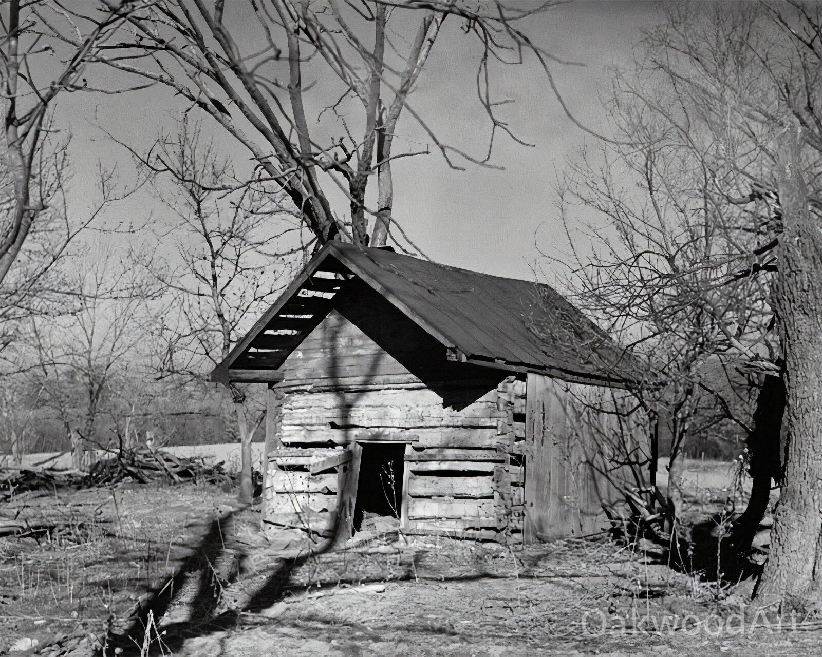 OLD ABANDONED SLAVE CABIN in Missouri, Vintage Photo Reprint OLD ABANDONED SLAVE CABIN in Missouri, Vintage Photo Reprint