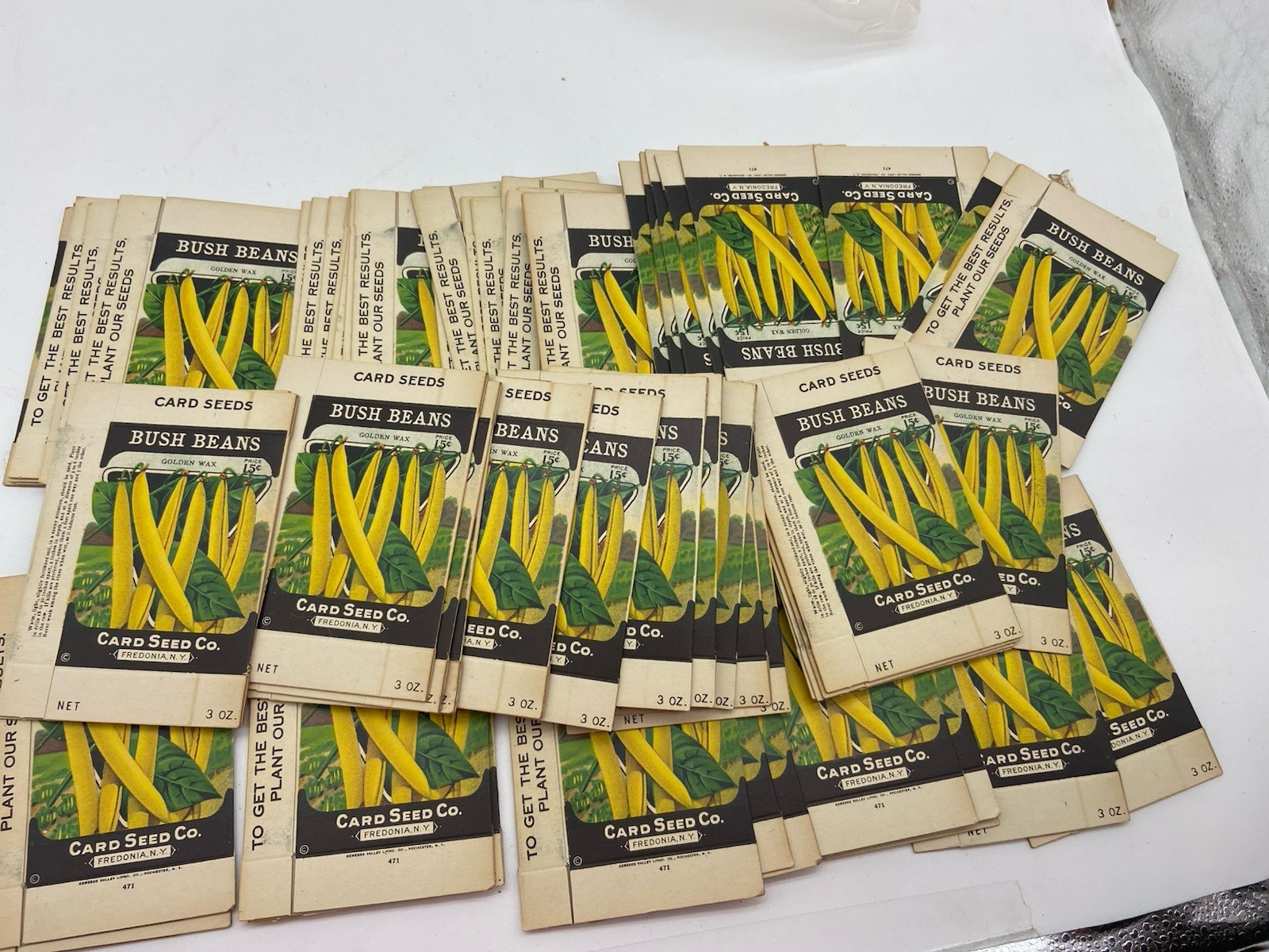 bush beans card seed co fredonia NY lot of 64