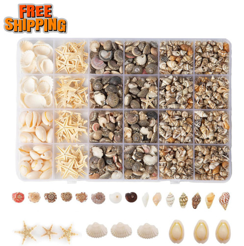 1300+Pcs Tiny Seashells for Crafts, Small Sea Shells in Bulk with Mini Starfish