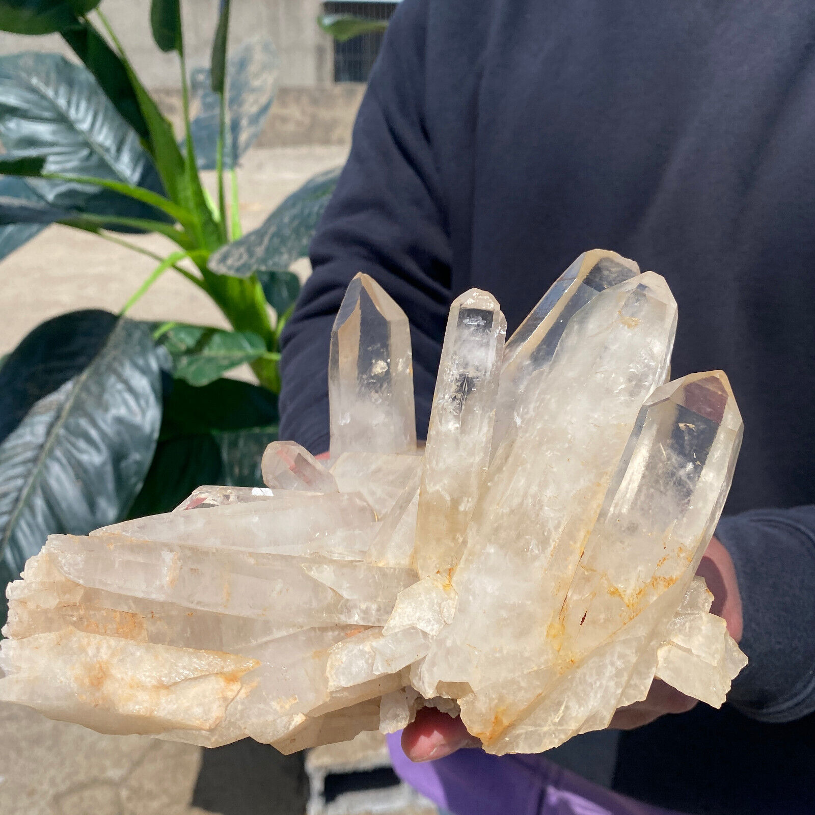 3lb Large Natural Clear White Quartz Crystal Cluster Rough Healing Specimen