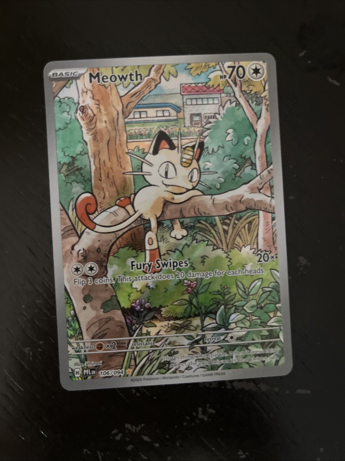 Meowth Wooper Noibat 3 Pokemon lot Meowth Wooper Noibat 3 Pokemon lot