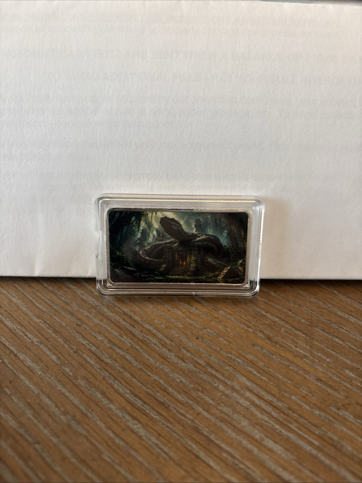 WWB Bar Sea Turtle Design w/ Protective Case Silver Plated