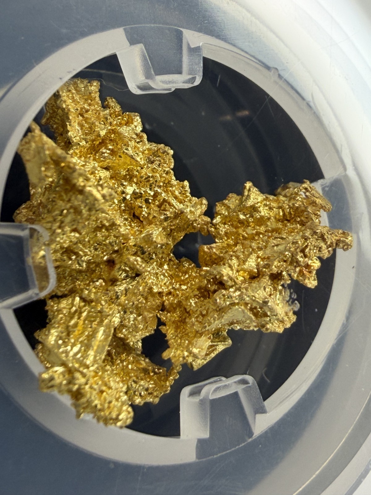 Crystalline Reef Gold Nugget  ::  Museum-Grade Specimen from Western Australia